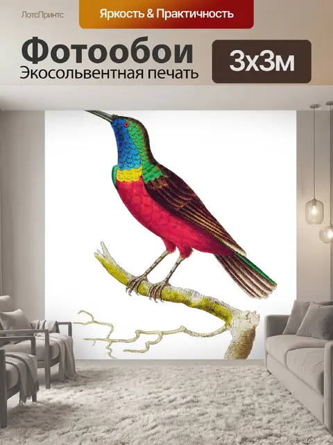 Фотообои Птицы тропических старинных искусства