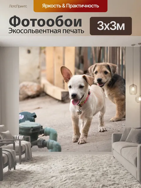 Фотообои Щенок