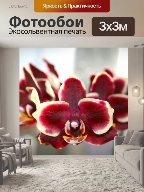 Фотообои Бабочки орхидеи