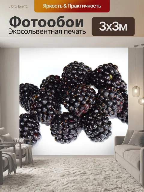 Фотообои Ежевика
