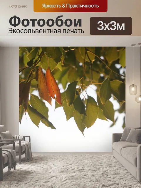 Фотообои Листья