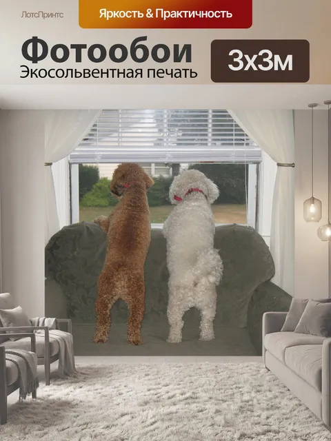 Фотообои Кто outside