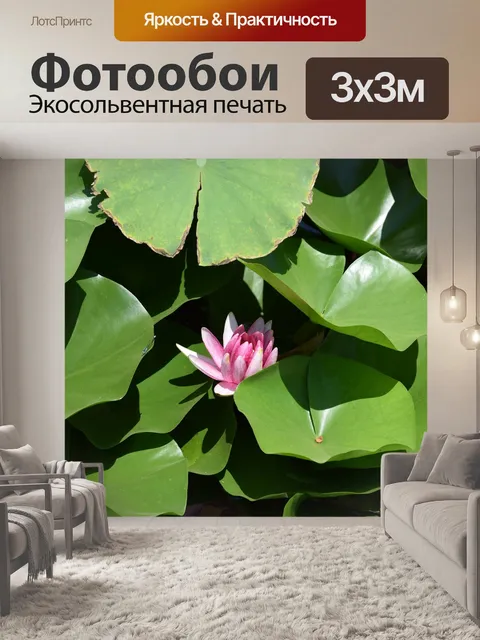 Фотообои Lotus