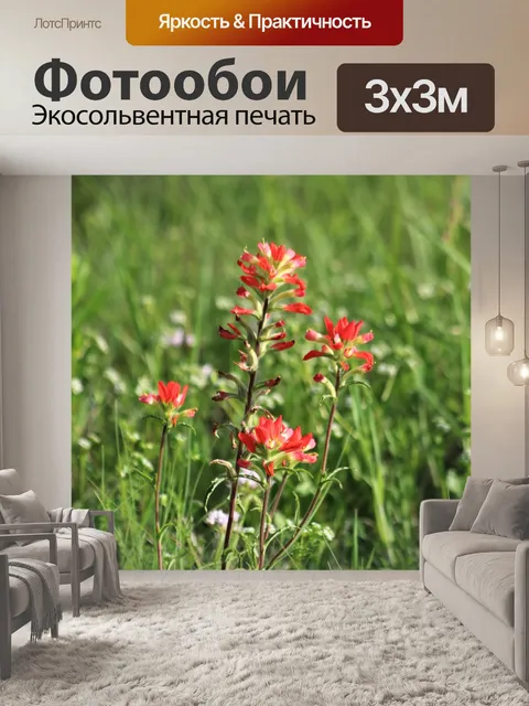 Фотообои Индийская кисть полевые цветы 2