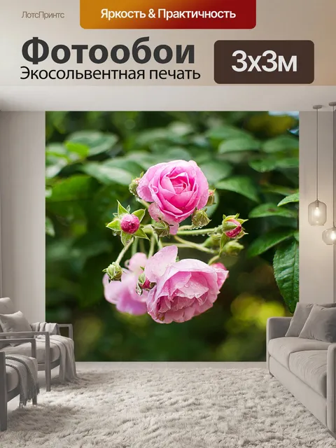 Фотообои Цветок