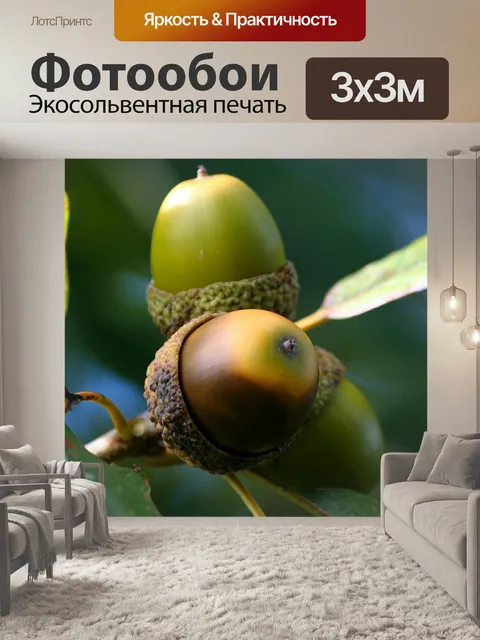 Фотообои Гроздь желудей