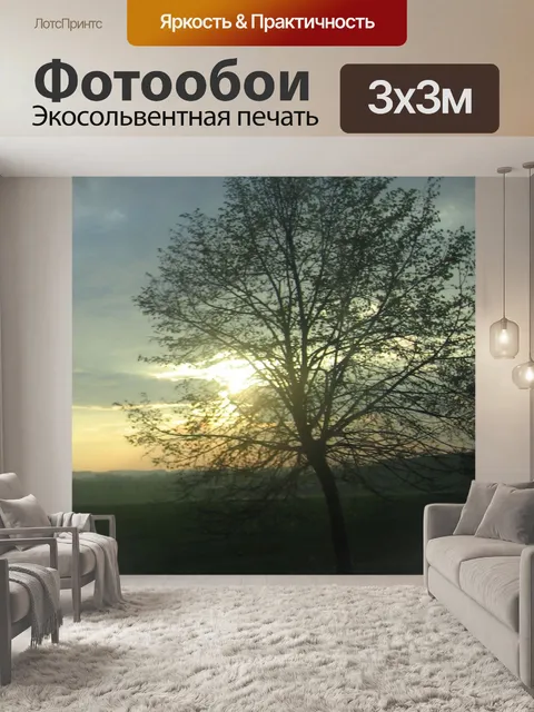 Фотообои Солнце за деревом