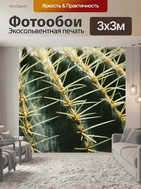 Фотообои Кактус