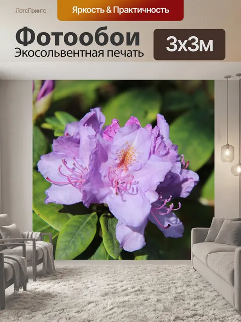 Фотообои Азалия