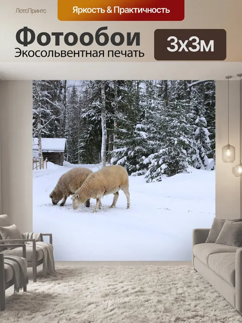 Фотообои Овец