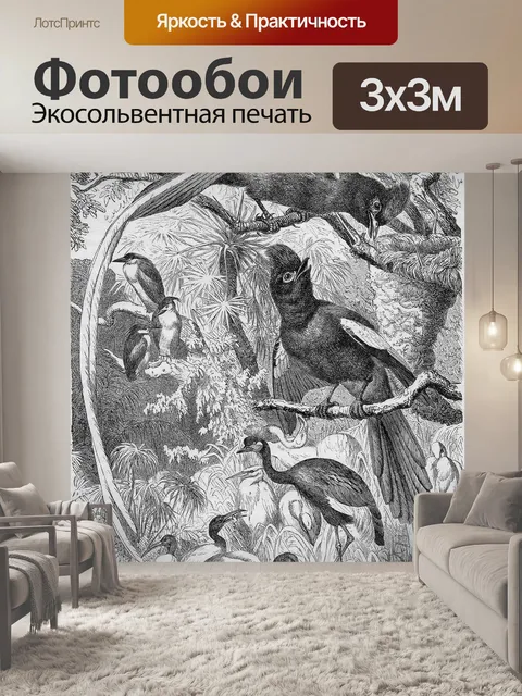 Фотообои Райские мухоловки