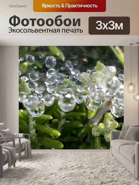Фотообои Капли воды