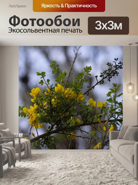 Фотообои желтые цветы
