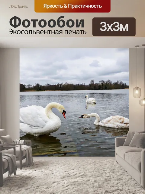 Фотообои Лебедь