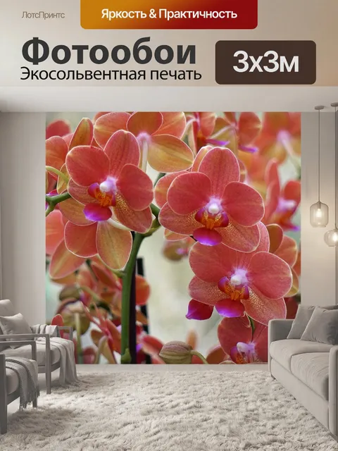 Фотообои Орхидеи