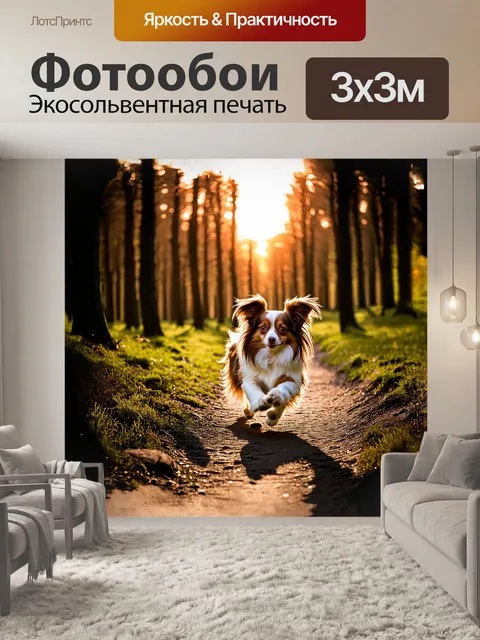 Фотообои на фоне вечернего заката, папильон бежит по лесной тропинке, озаренной светом из-за деревьев