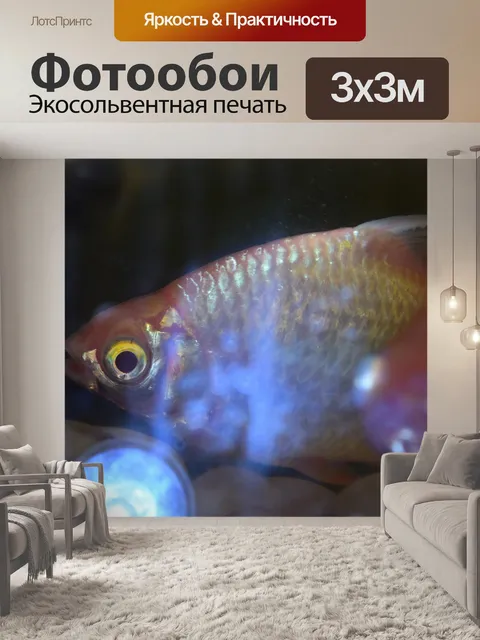 Фотообои Аквариумные рыбки 3