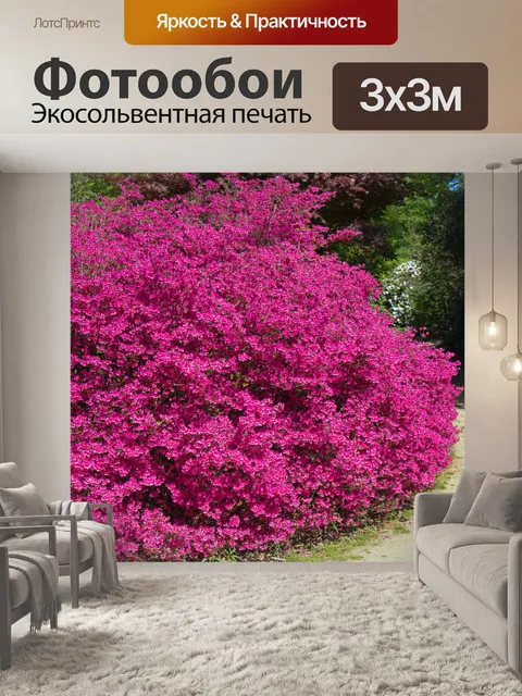 Фотообои Розовый цветущий куст