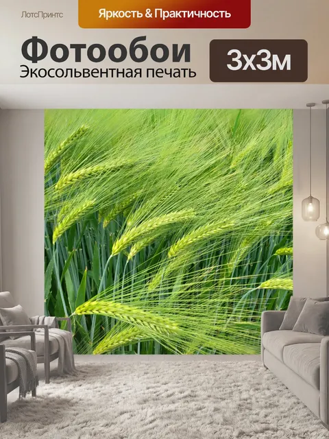 Фотообои Ячмень пшенично-ржаное поле
