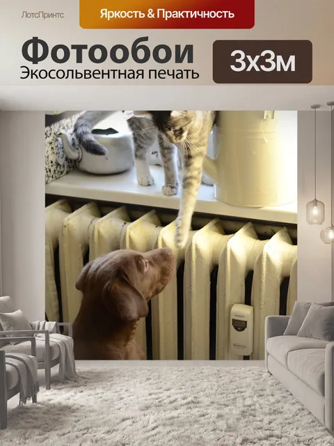Фотообои Кошка