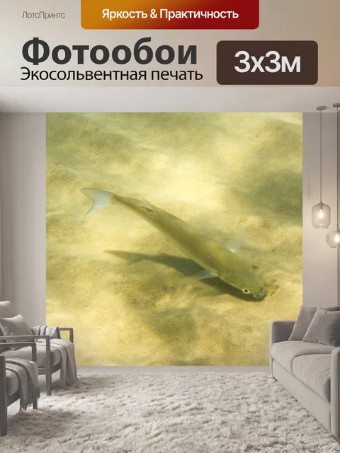 Фотообои рыба под водой