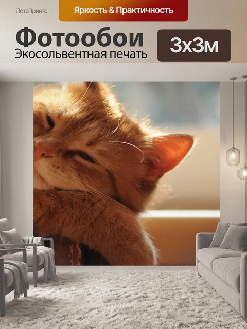 Фотообои Рыжий