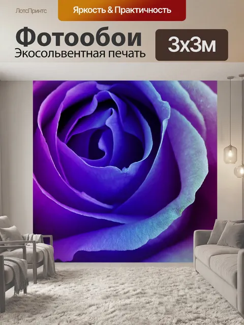 Фотообои Роза синий розовый цветок