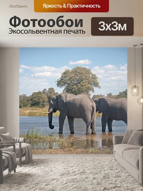 Фотообои два африканских слона в воде
