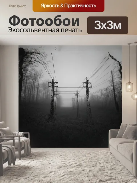 Фотообои загадочная линия электропередач, уходящая в худосочную туманную даль сквозь лесистую местность