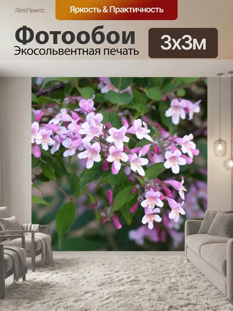 Фотообои Буш