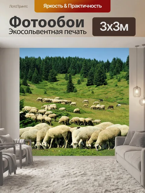 Фотообои Овцы