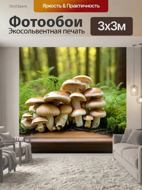 Фотообои грибы грибные блюда в лесу, утренний свет, свежесрезанные грибы, окружённые зеленью, на деревянной доске