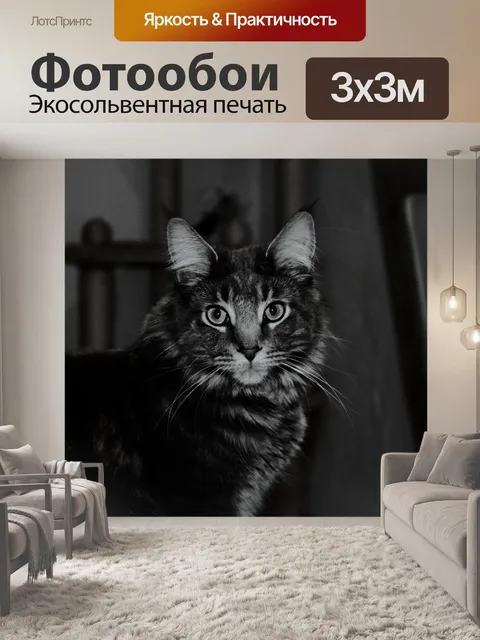 Фотообои Кот