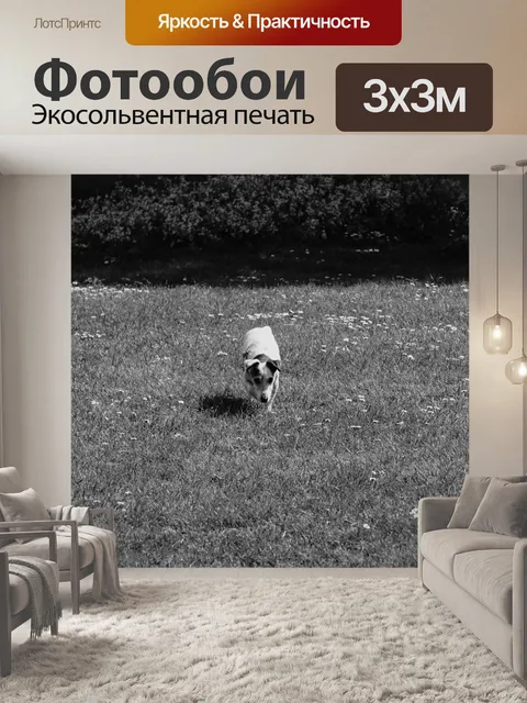 Фотообои Собака породы джек рассел терьер