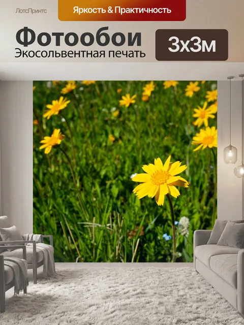 Фотообои Желтые цветы на лугу