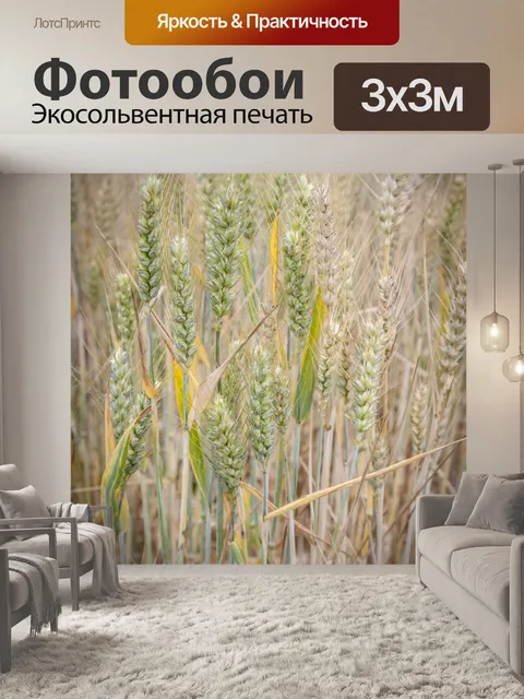 Фотообои Золотое пшеничное поле и солнечный день
