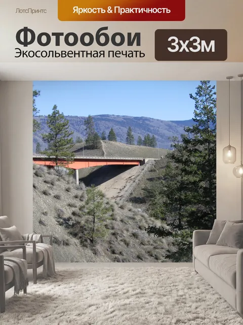 Фотообои Петерсон Cr моста
