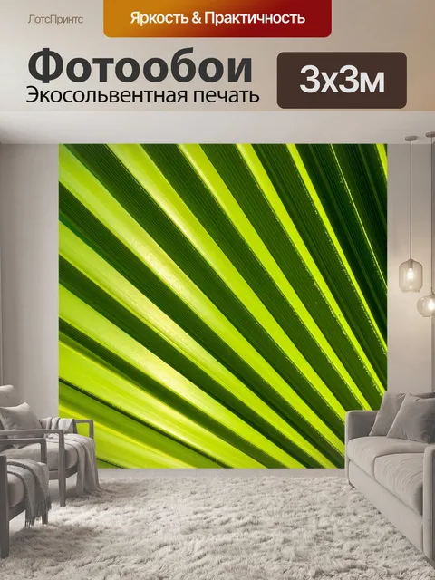 Фотообои Зеленый лист пальмы