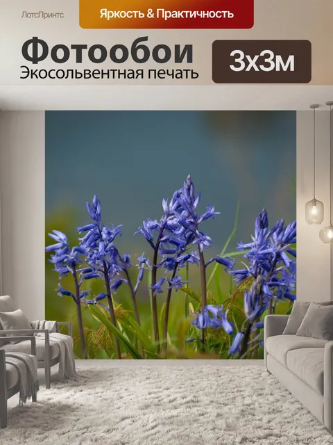Фотообои Гиацинт, дикий гиацинт, флора