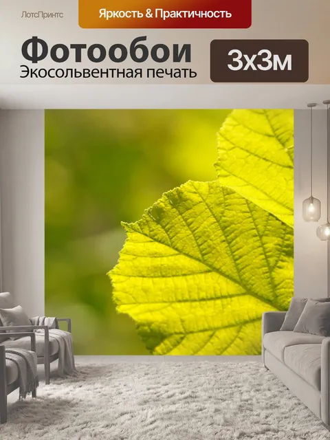Фотообои Листья