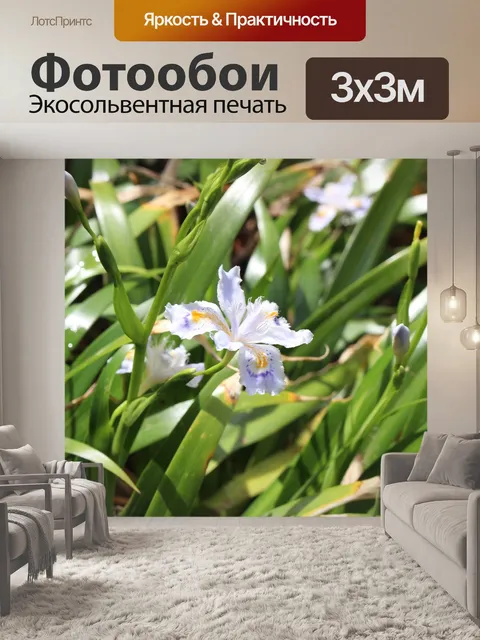 Фотообои Токио