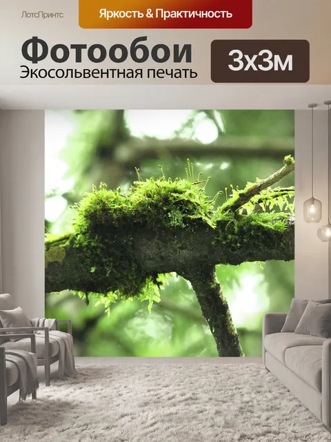 Фотообои Лес