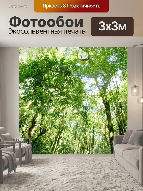 Фотообои Природа тропический лес дои Интанон наци