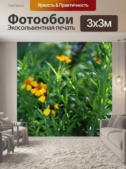 Фотообои дикие желтые цветы