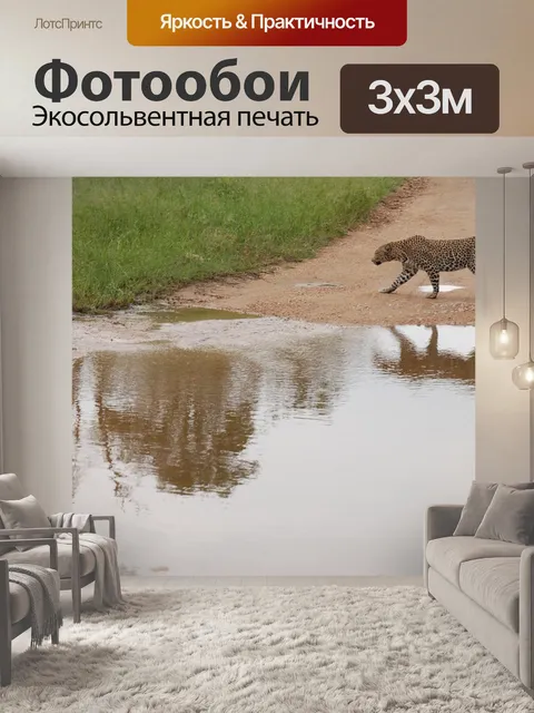 Фотообои Африка