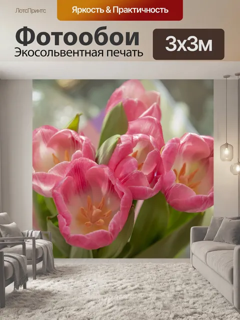 Фотообои Букет тюльпанов крупным планом