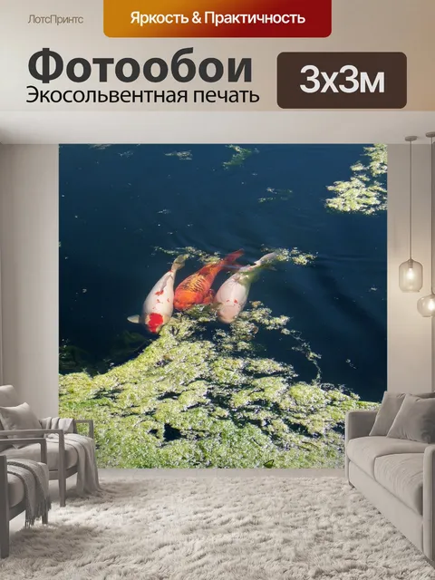 Фотообои Карп