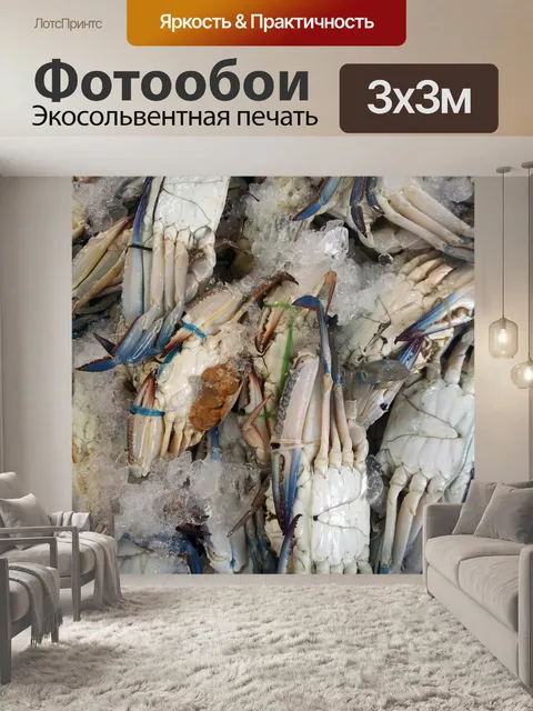 Фотообои синего краба на мокрой рынка