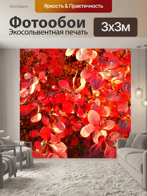 Фотообои Листья