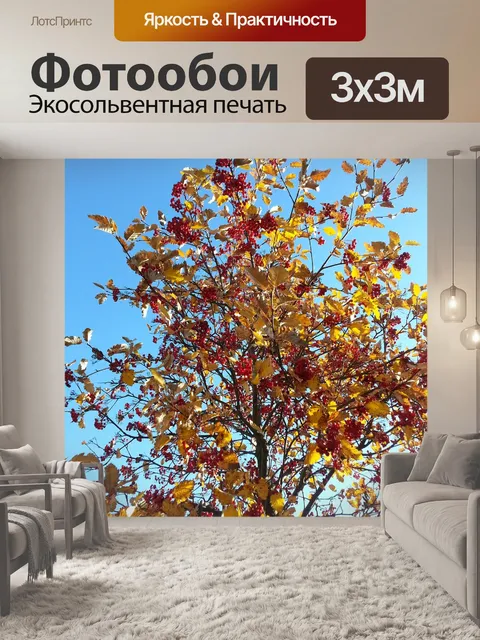 Фотообои Осень